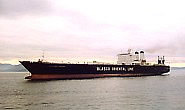 RO-RO Vladimir Vasilev 02.01.96.